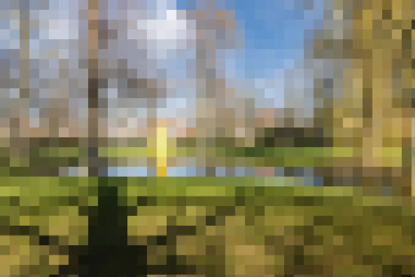 Sint Liduinaplein 4 B Schiedam thumbnail 43
