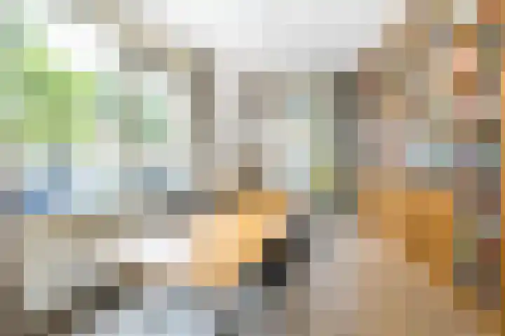 Sint Liduinastraat 102 A Schiedam thumbnail 19