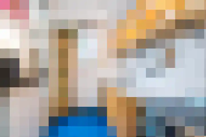 Sint Liduinastraat 102 A Schiedam thumbnail 21