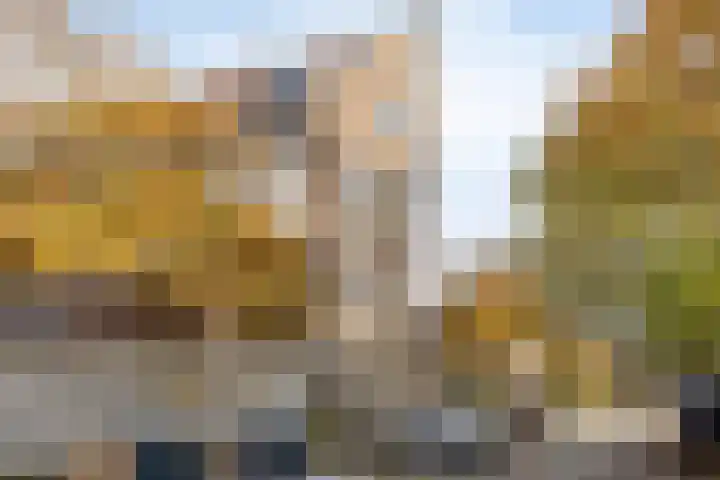 Sint Liduinastraat 102 A Schiedam thumbnail 23