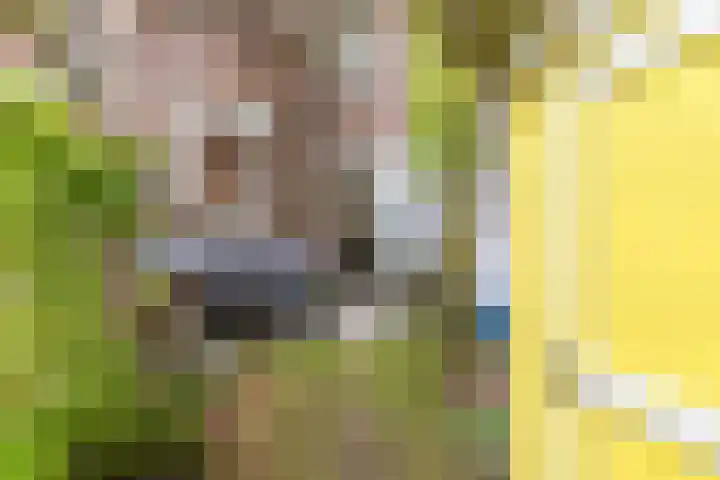Sint Liduinastraat 102 A Schiedam thumbnail 28