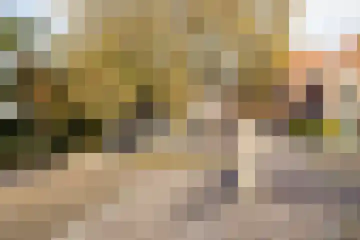 Sint Liduinastraat 102 A Schiedam thumbnail 29
