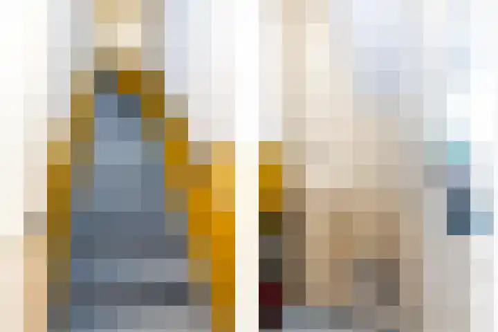 Sint Liduinastraat 102 A Schiedam thumbnail 31