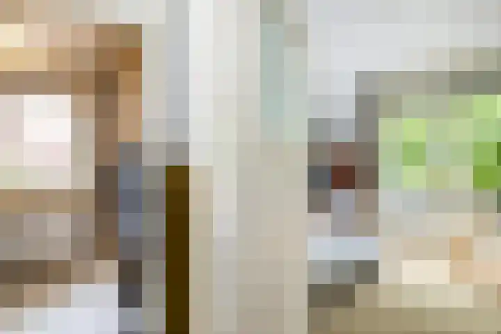 Sint Liduinastraat 102 A Schiedam thumbnail 40