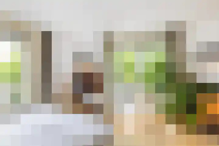 Sint Liduinastraat 102 A Schiedam thumbnail 42