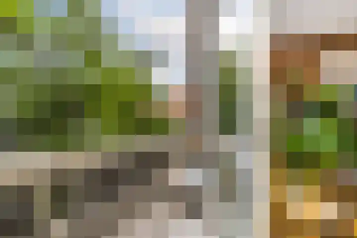 Sint Liduinastraat 102 A Schiedam thumbnail 43