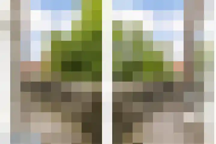 Sint Liduinastraat 102 A Schiedam thumbnail 44