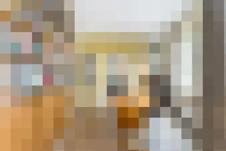 Sint Liduinastraat 102 A Schiedam thumbnail 5