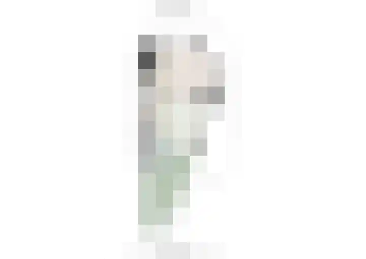 Sint Liduinastraat 102 A Schiedam thumbnail 51
