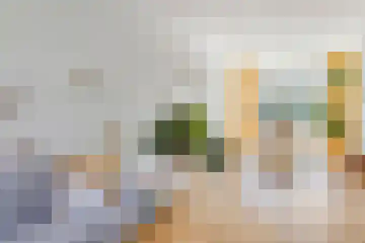 Sint Liduinastraat 69 A Schiedam thumbnail 10
