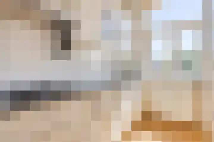 Sint Liduinastraat 69 A Schiedam thumbnail 13
