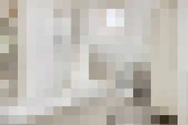 Sint Liduinastraat 69 A Schiedam thumbnail 18