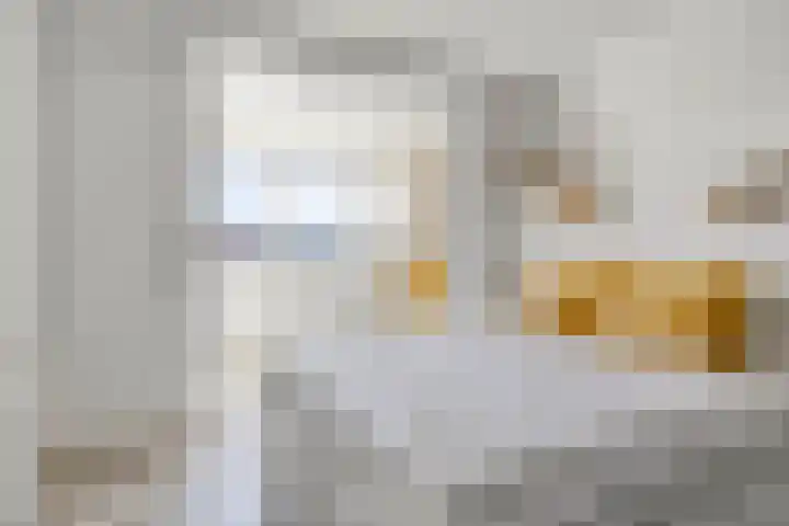 Sint Liduinastraat 69 A Schiedam thumbnail 20