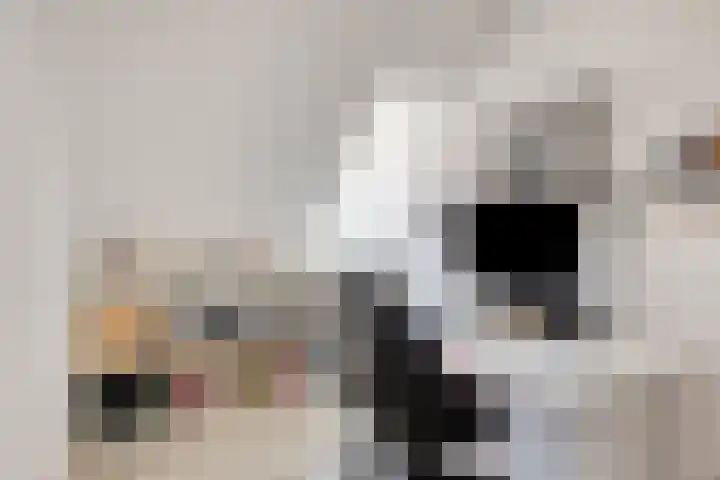 Sint Liduinastraat 69 A Schiedam thumbnail 27