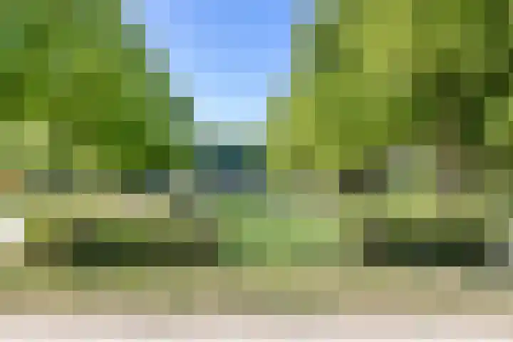 Sint Liduinastraat 69 A Schiedam thumbnail 32