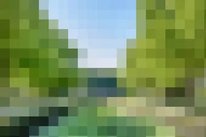 Sint Liduinastraat 69 A Schiedam thumbnail 33