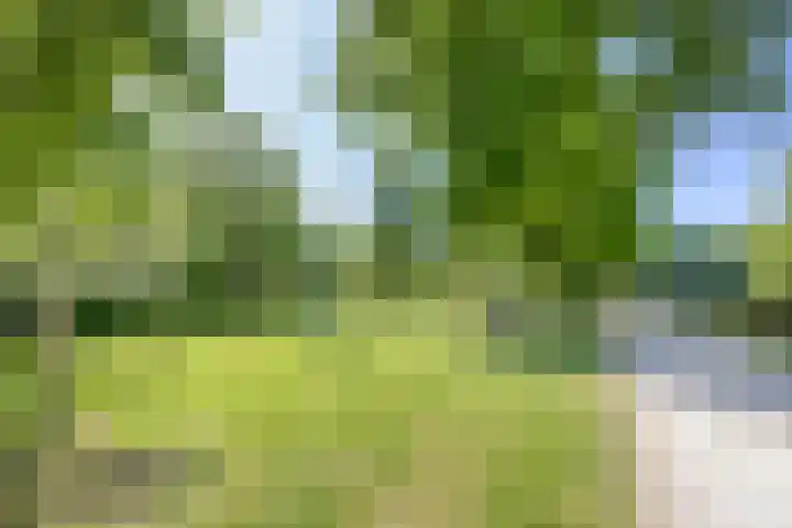 Sint Liduinastraat 69 A Schiedam thumbnail 34