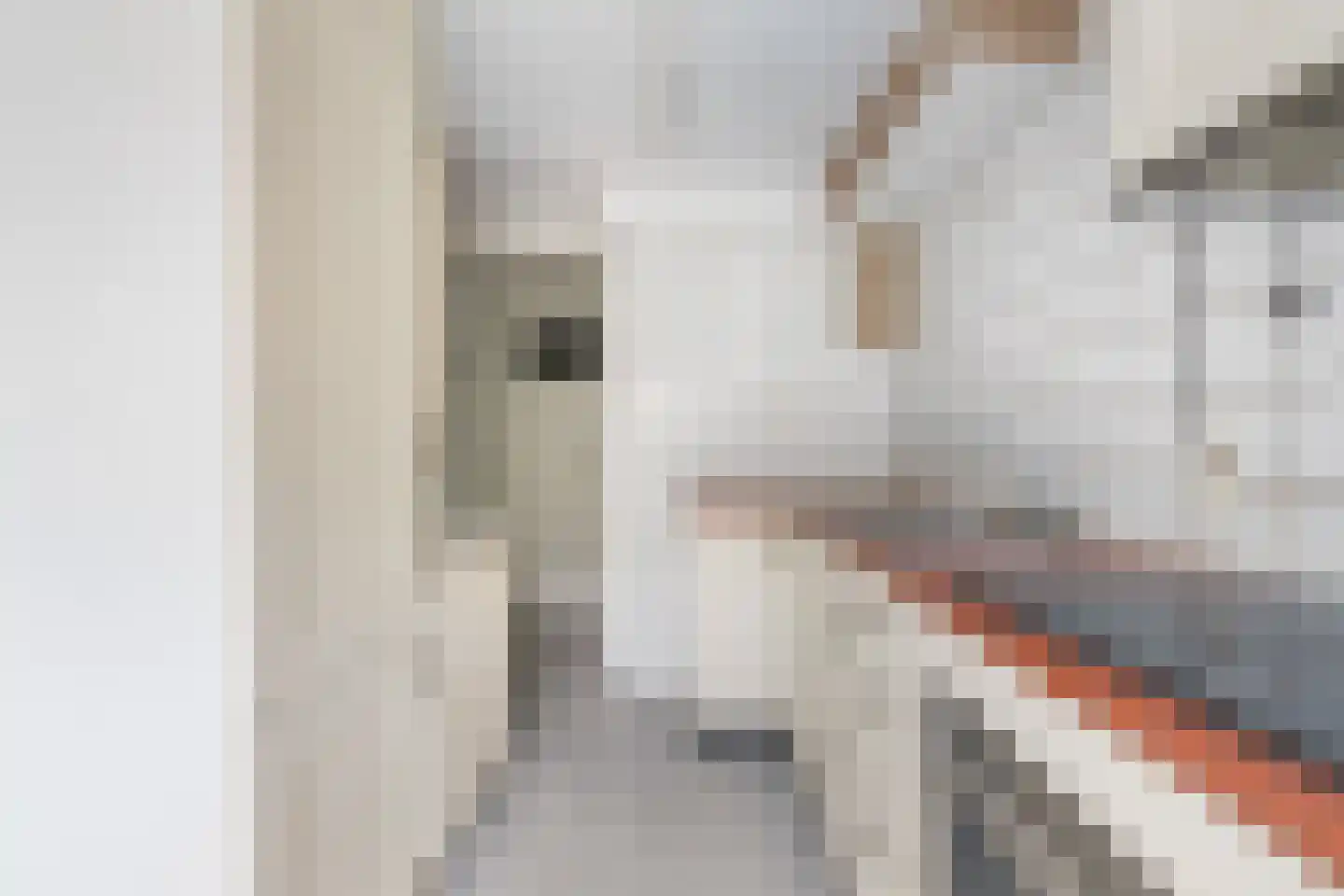 Sint Liduinastraat 77 B Schiedam thumbnail 31
