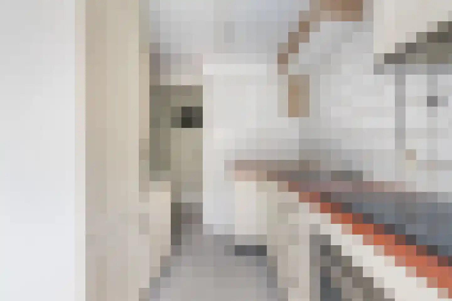 Sint Liduinastraat 77 B Schiedam thumbnail 31