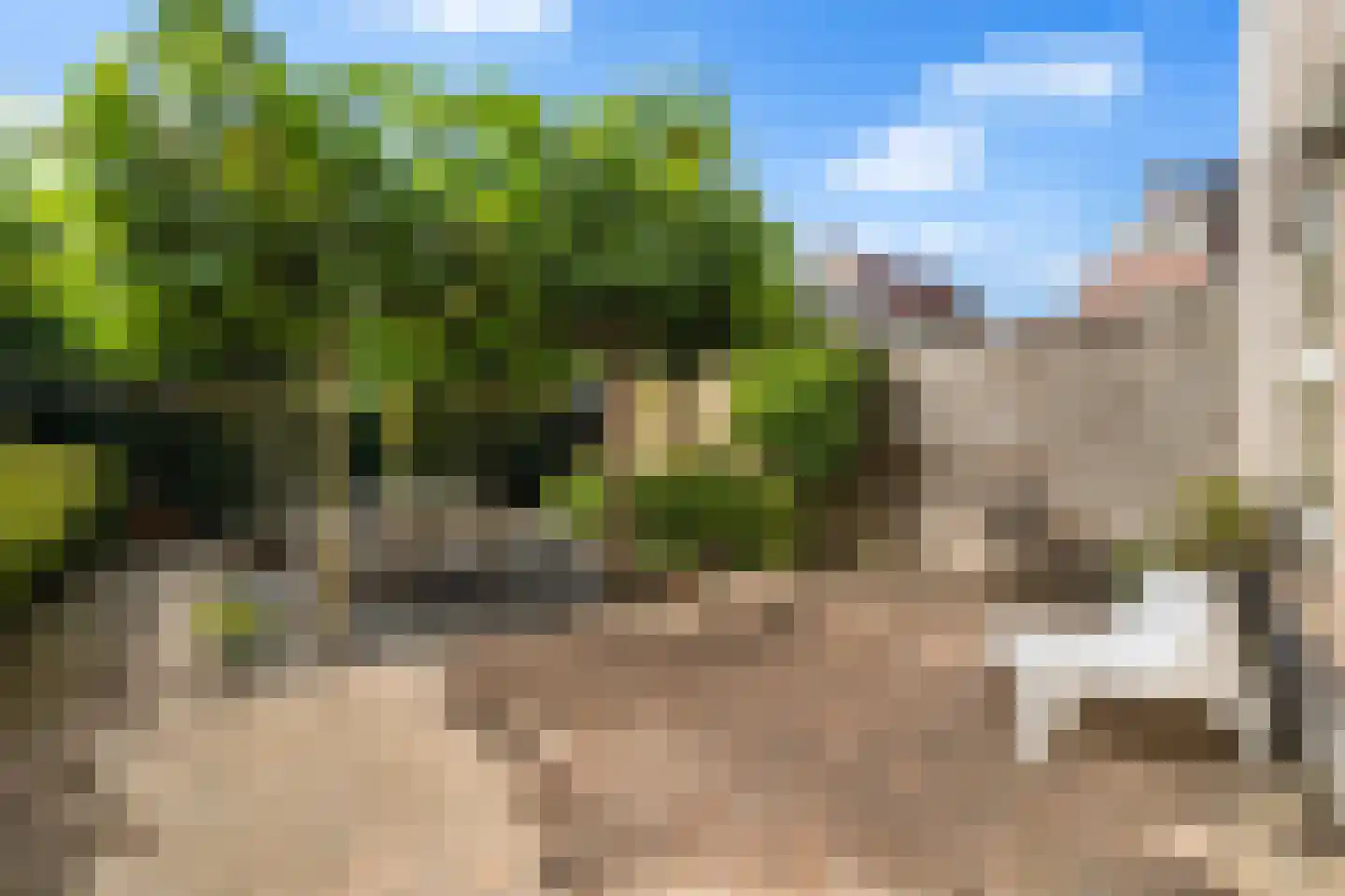 Sint Maarten 9 Zoetermeer thumbnail 4