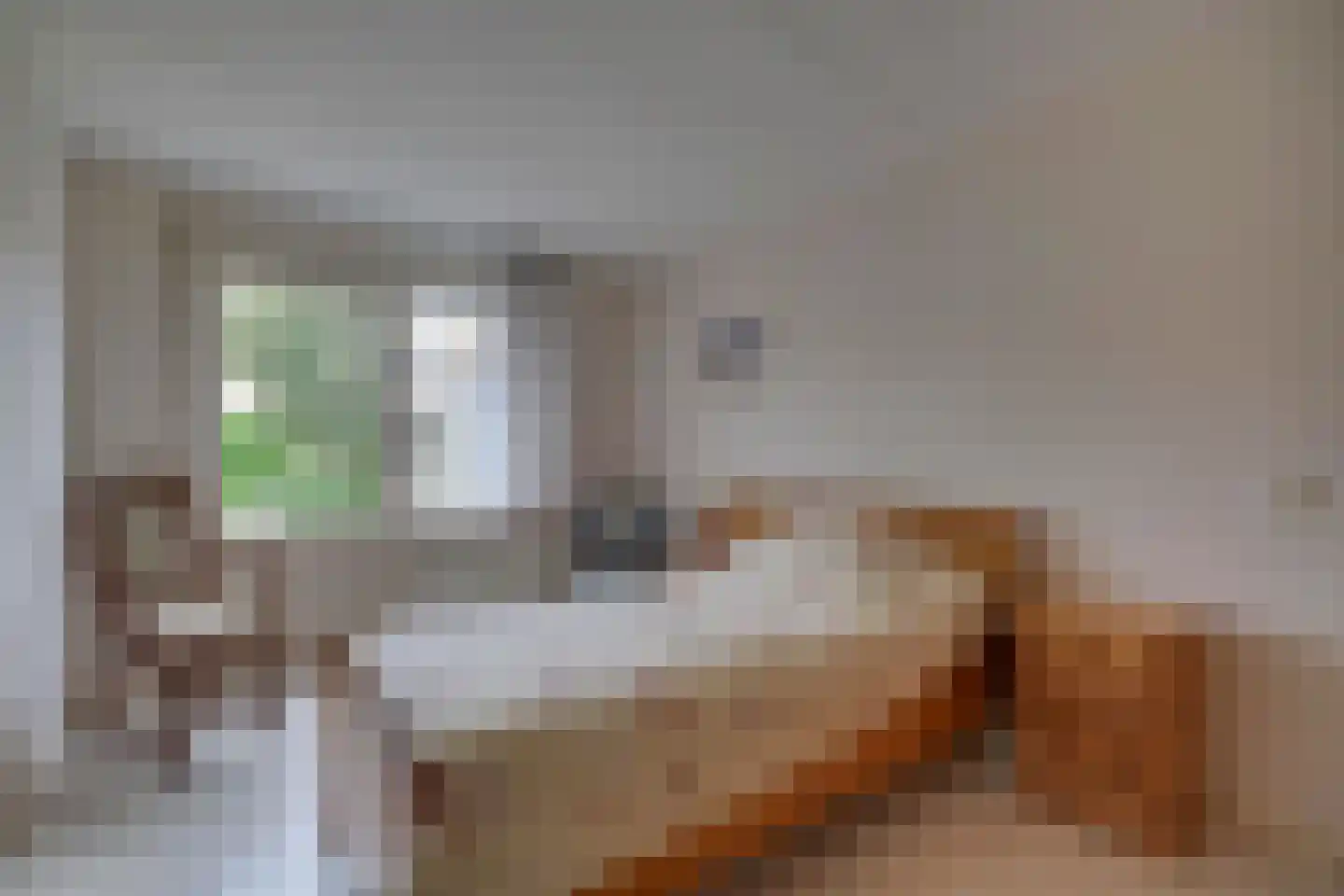 Sint Maartenhof 4 Lobith thumbnail 13