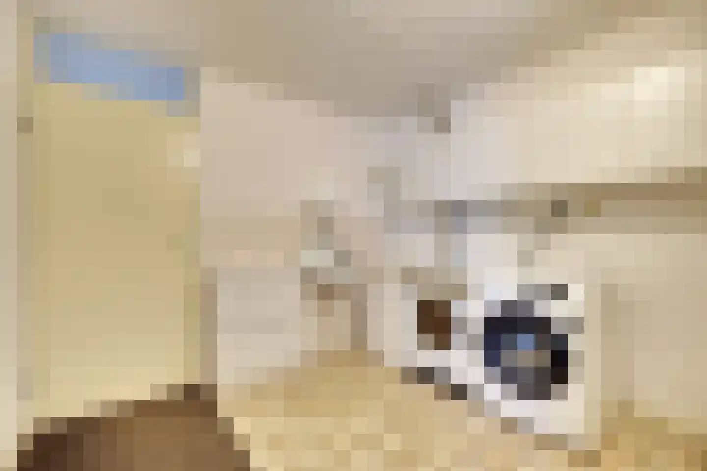Sint Maartenhof 4 Lobith thumbnail 18