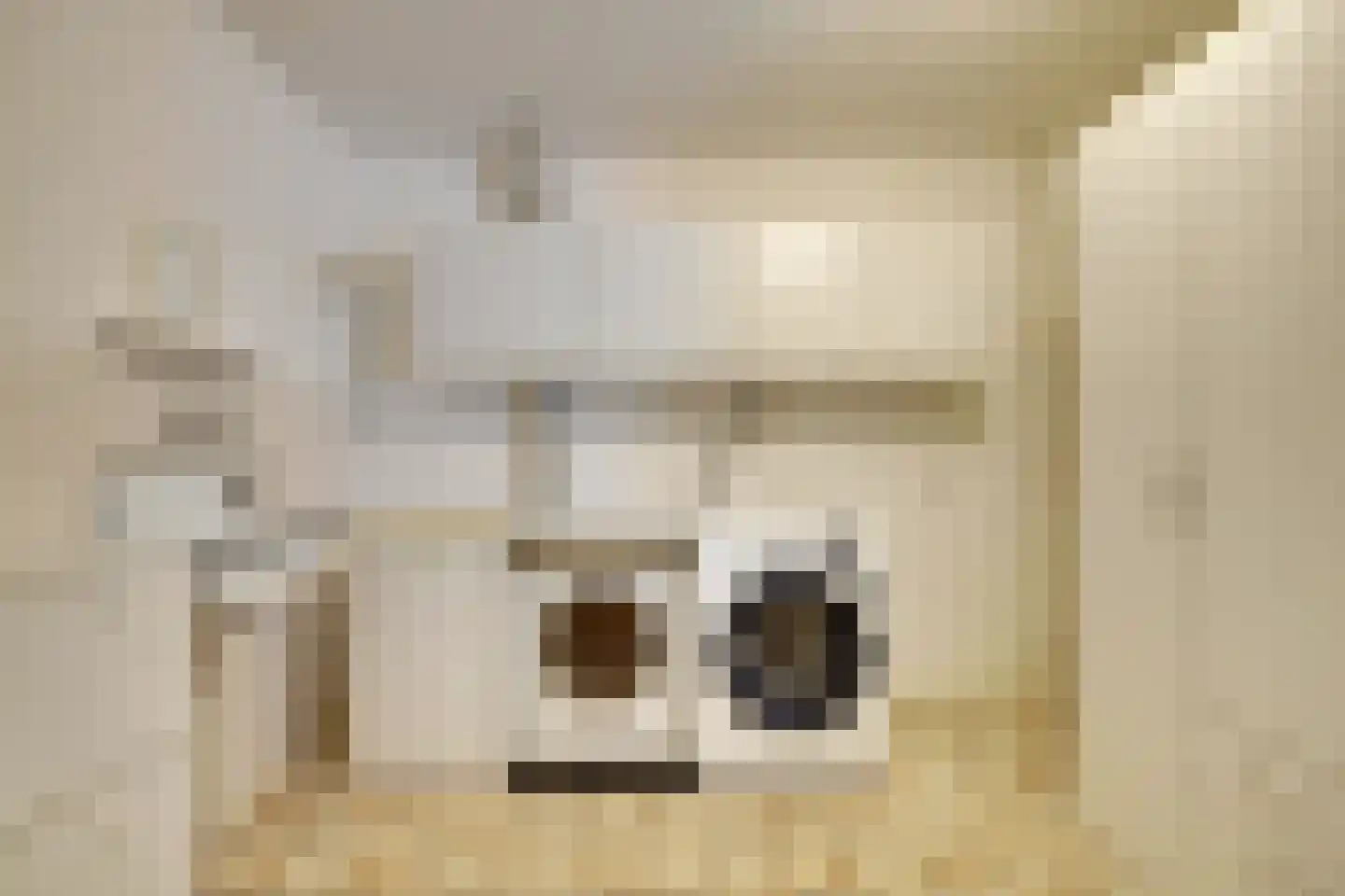 Sint Maartenhof 4 Lobith thumbnail 19