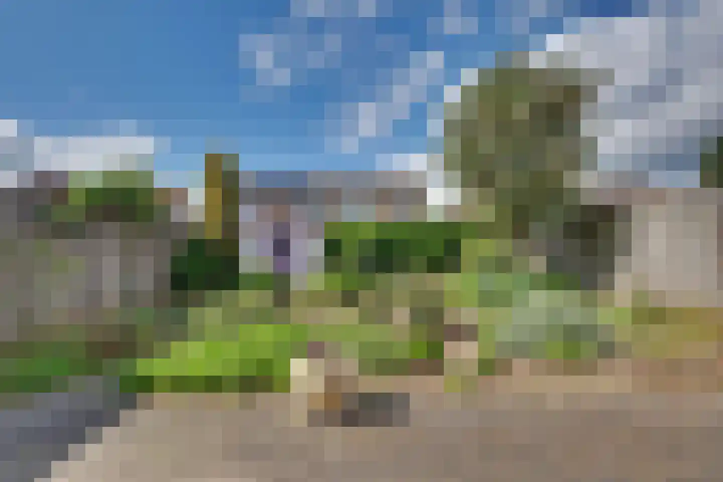 Sint Maartenhof 4 Lobith thumbnail 26
