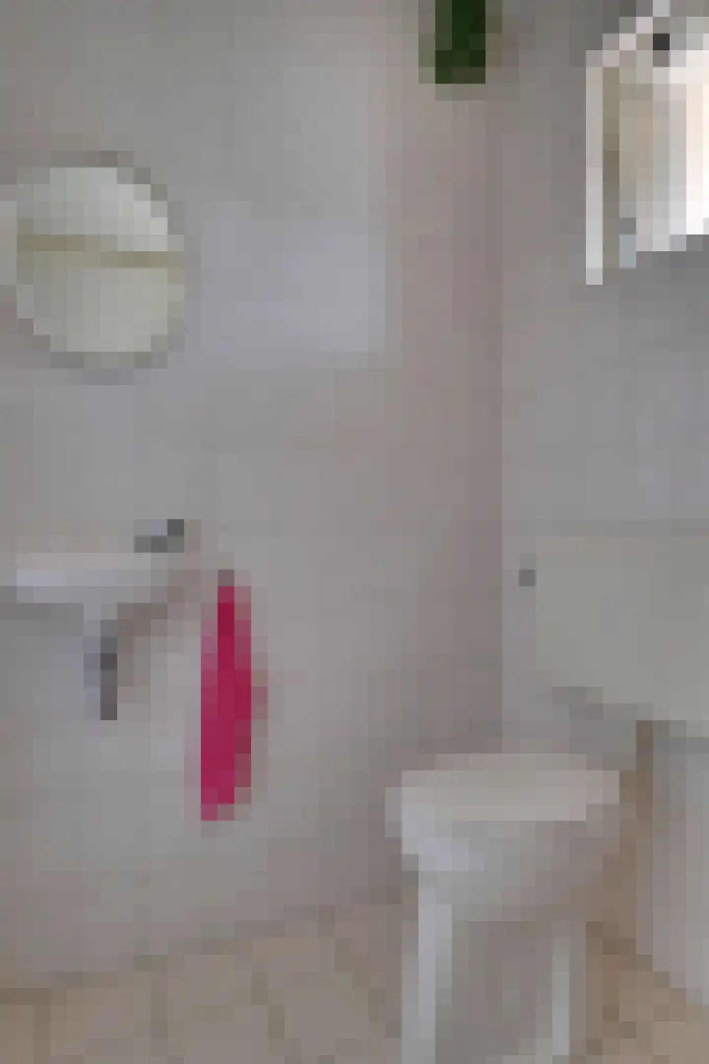 Sint Maartenhof 4 Lobith thumbnail 6