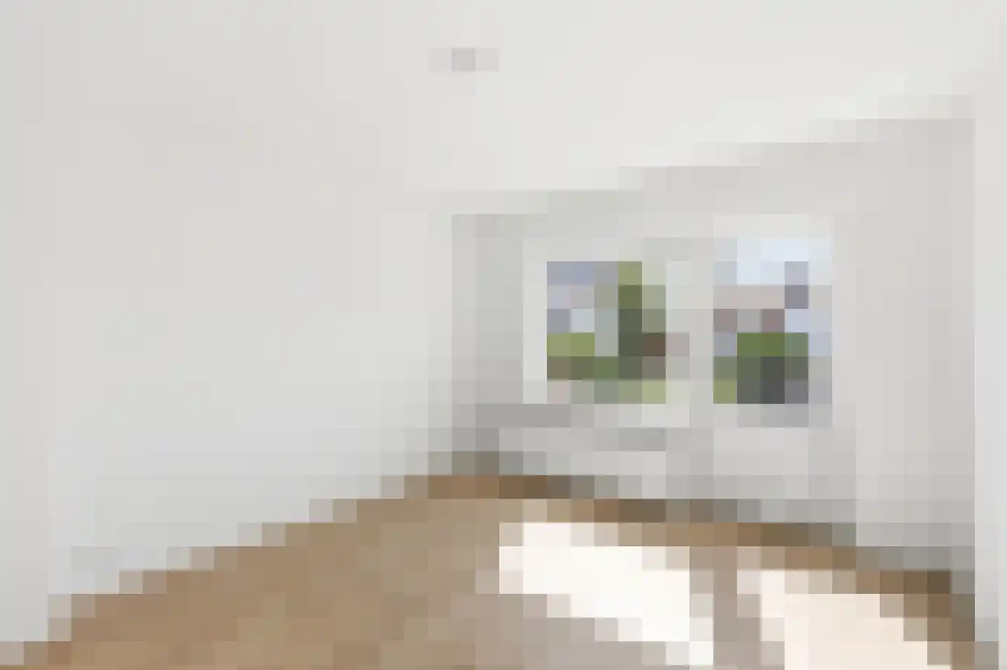 Sint Maartenlaan 2 Vlissingen thumbnail 17