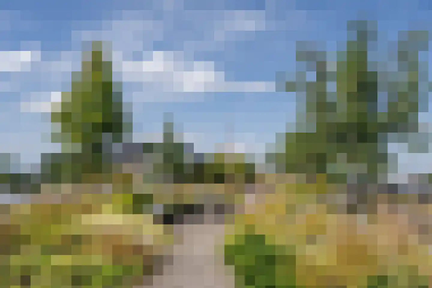 Sint Maartenpad 1 Haarlem thumbnail 38