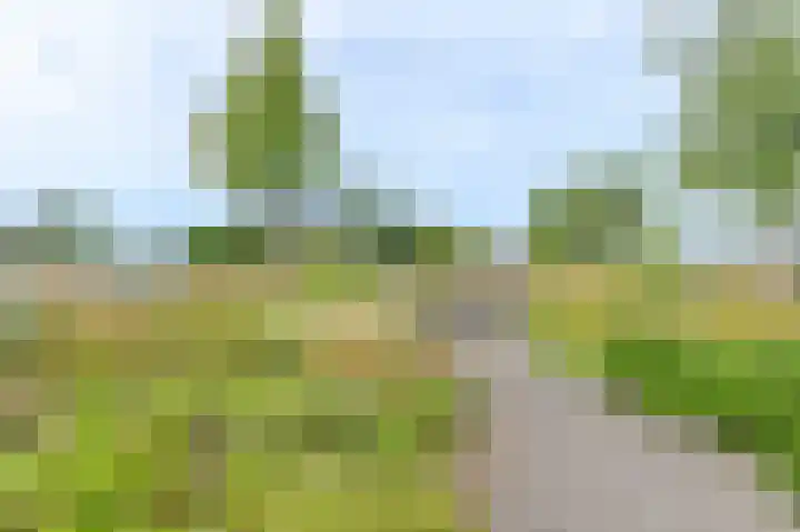 Sint Maartenpad 11 Haarlem thumbnail 38
