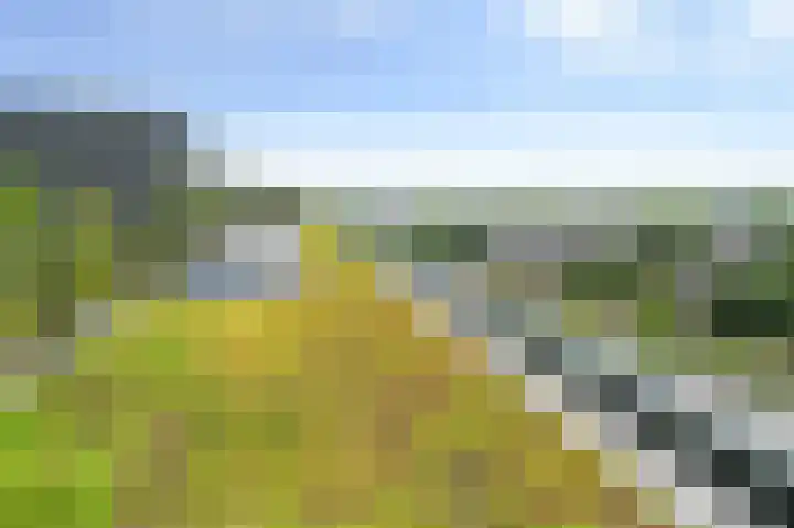 Sint Maartenpad 11 Haarlem thumbnail 39