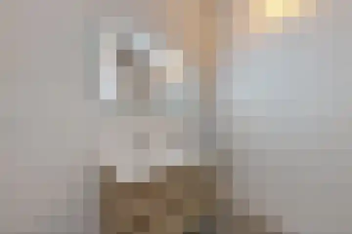 Sint Maartenpad 13 Haarlem thumbnail 26