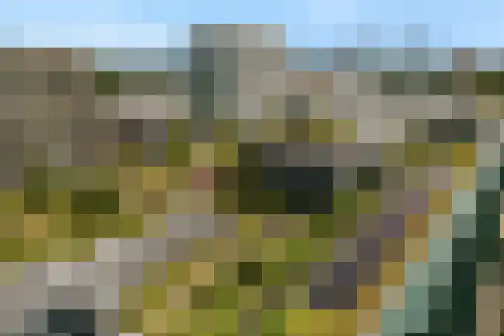 Sint Maartenpad 13 Haarlem thumbnail 5