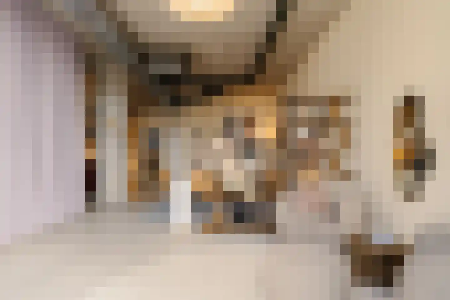 Sint Maartenpad 15 Haarlem thumbnail 10
