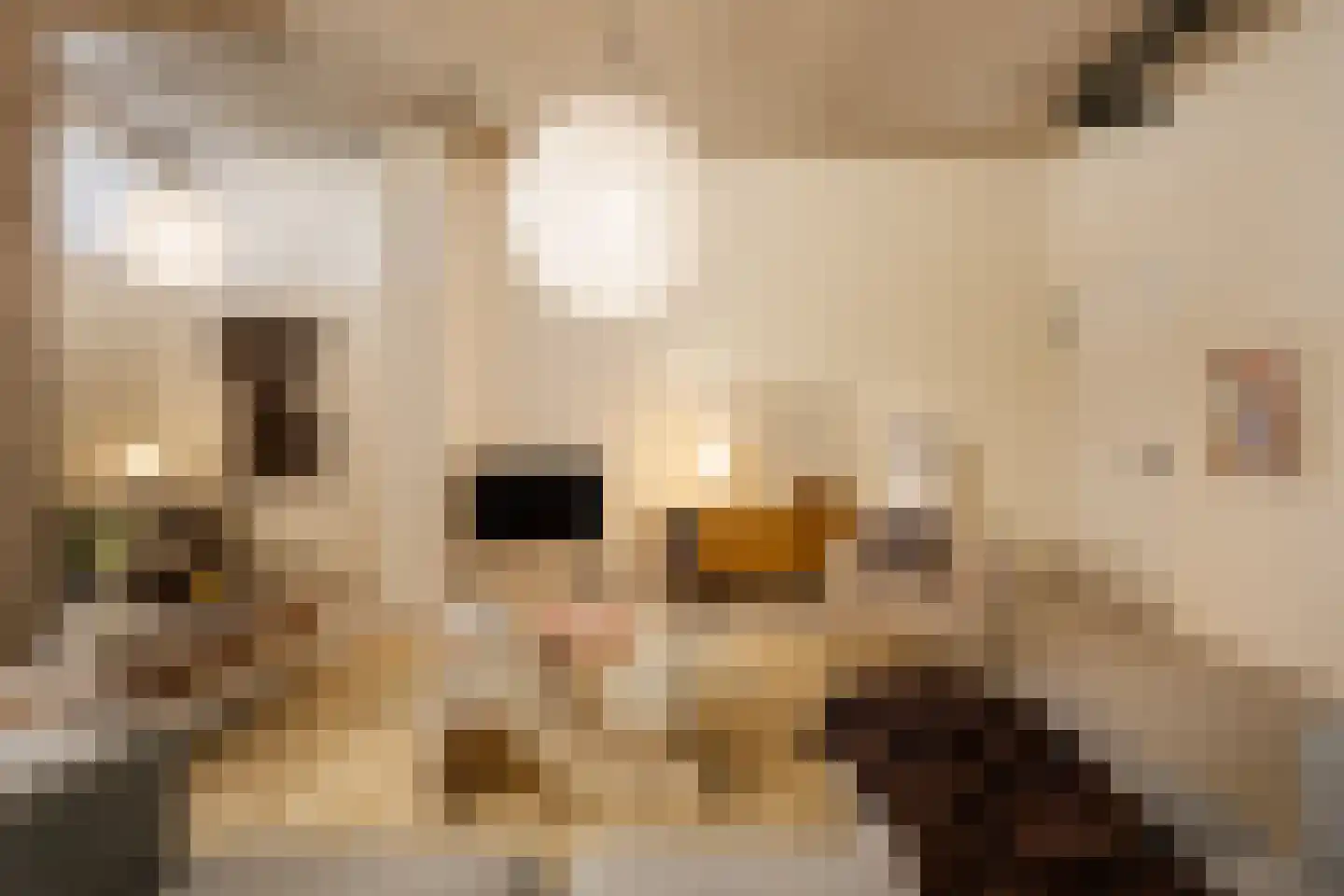 Sint Maartenpad 15 Haarlem thumbnail 24