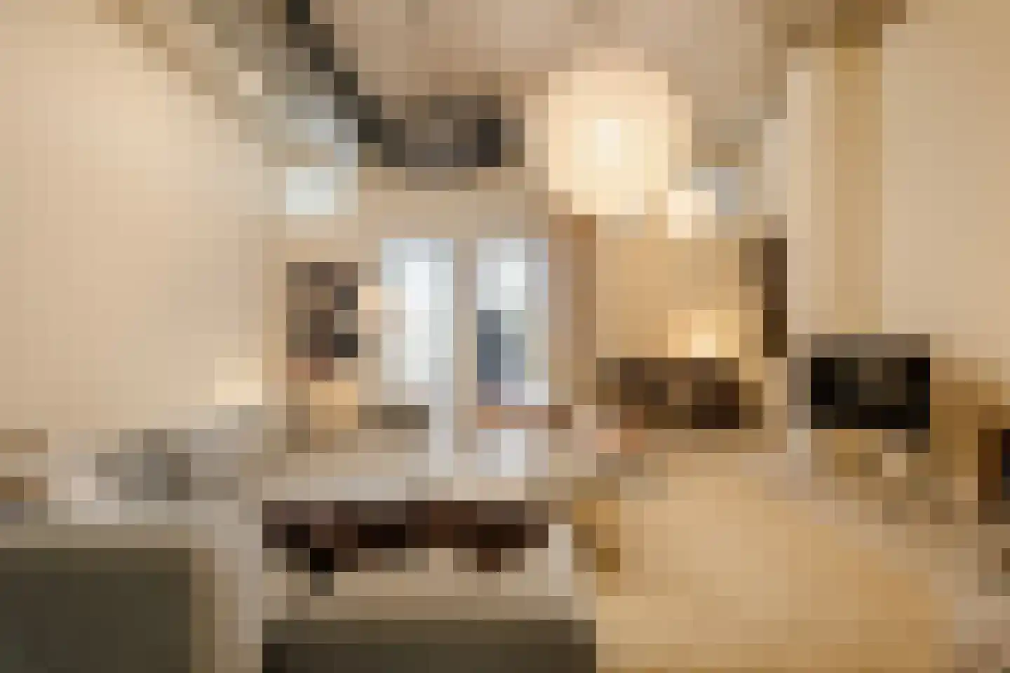Sint Maartenpad 15 Haarlem thumbnail 25