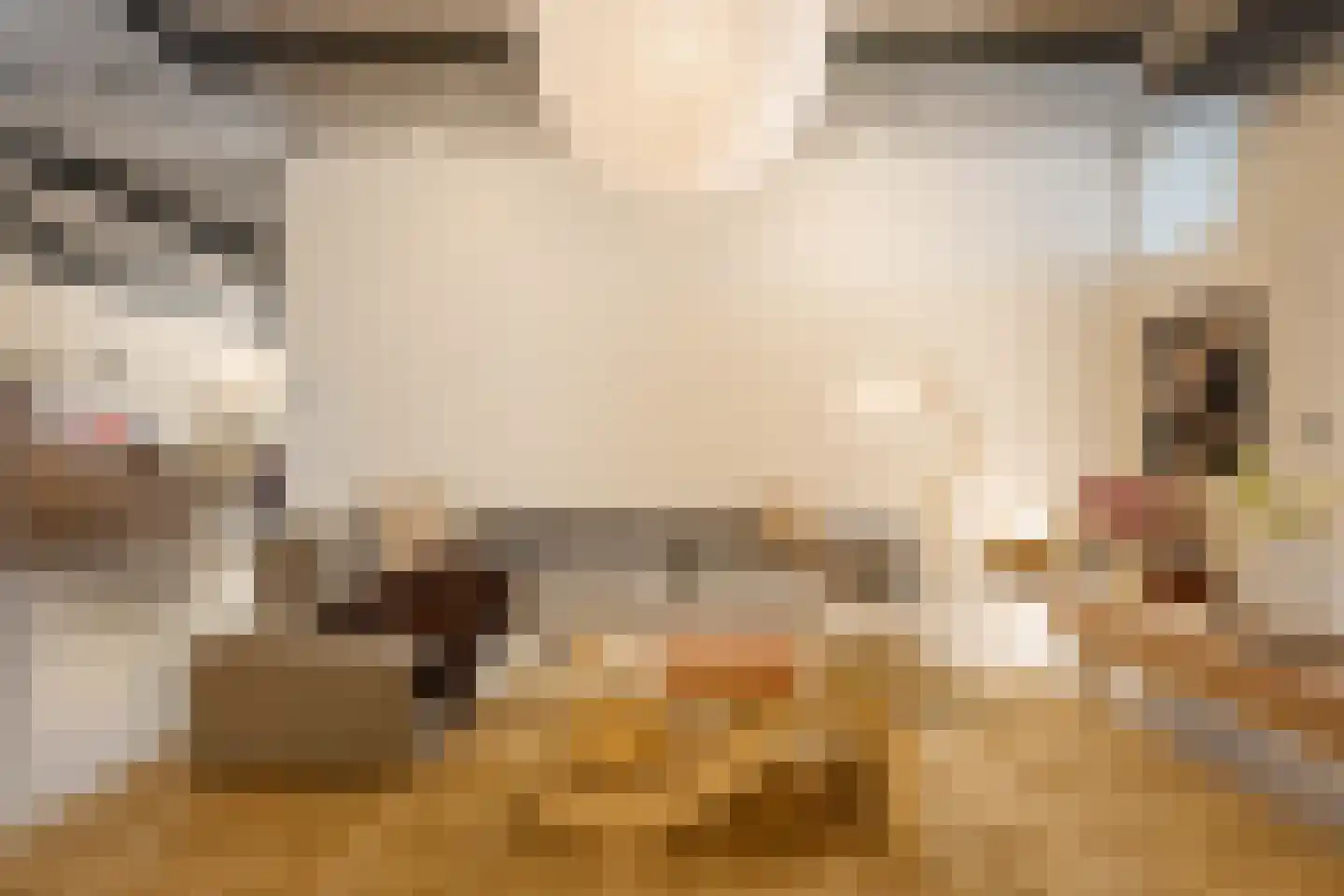 Sint Maartenpad 15 Haarlem thumbnail 26