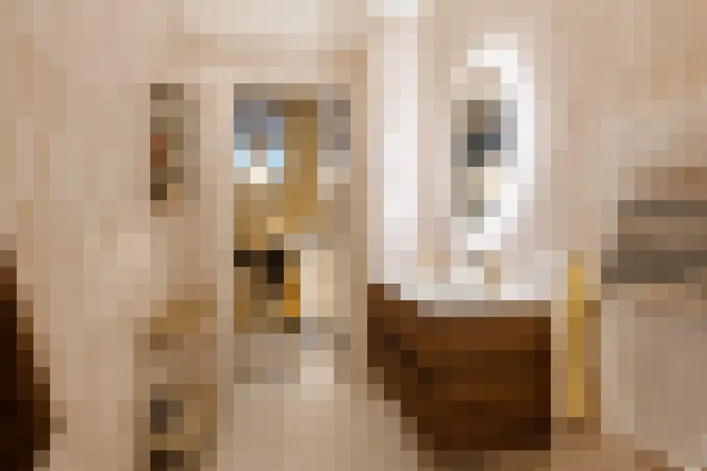 Sint Maartenpad 15 Haarlem thumbnail 30