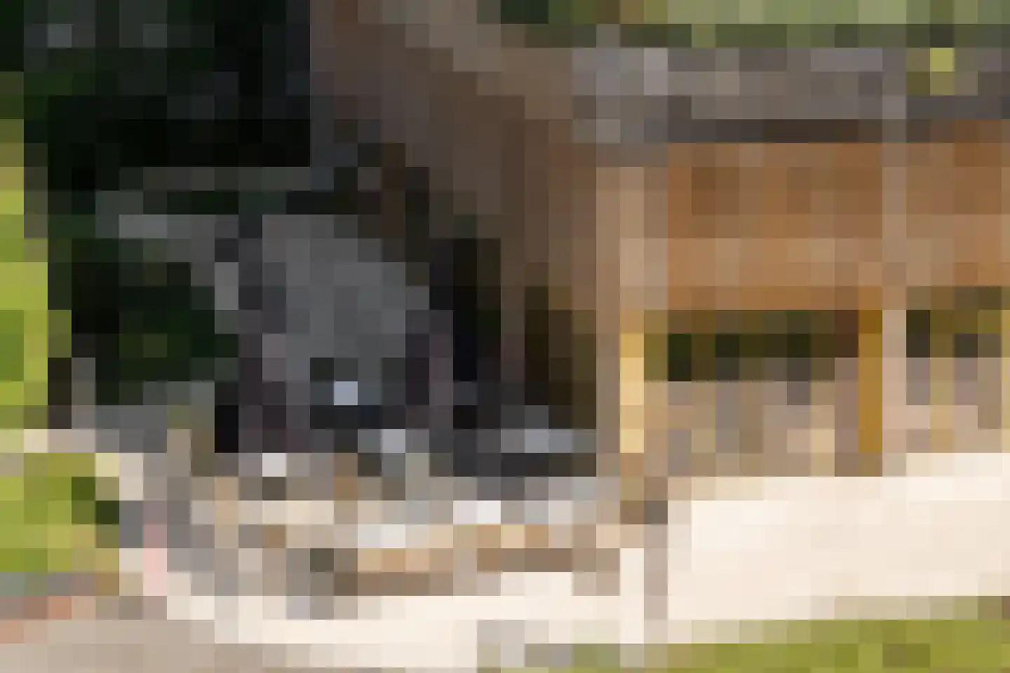Sint Maartenpad 15 Haarlem thumbnail 39