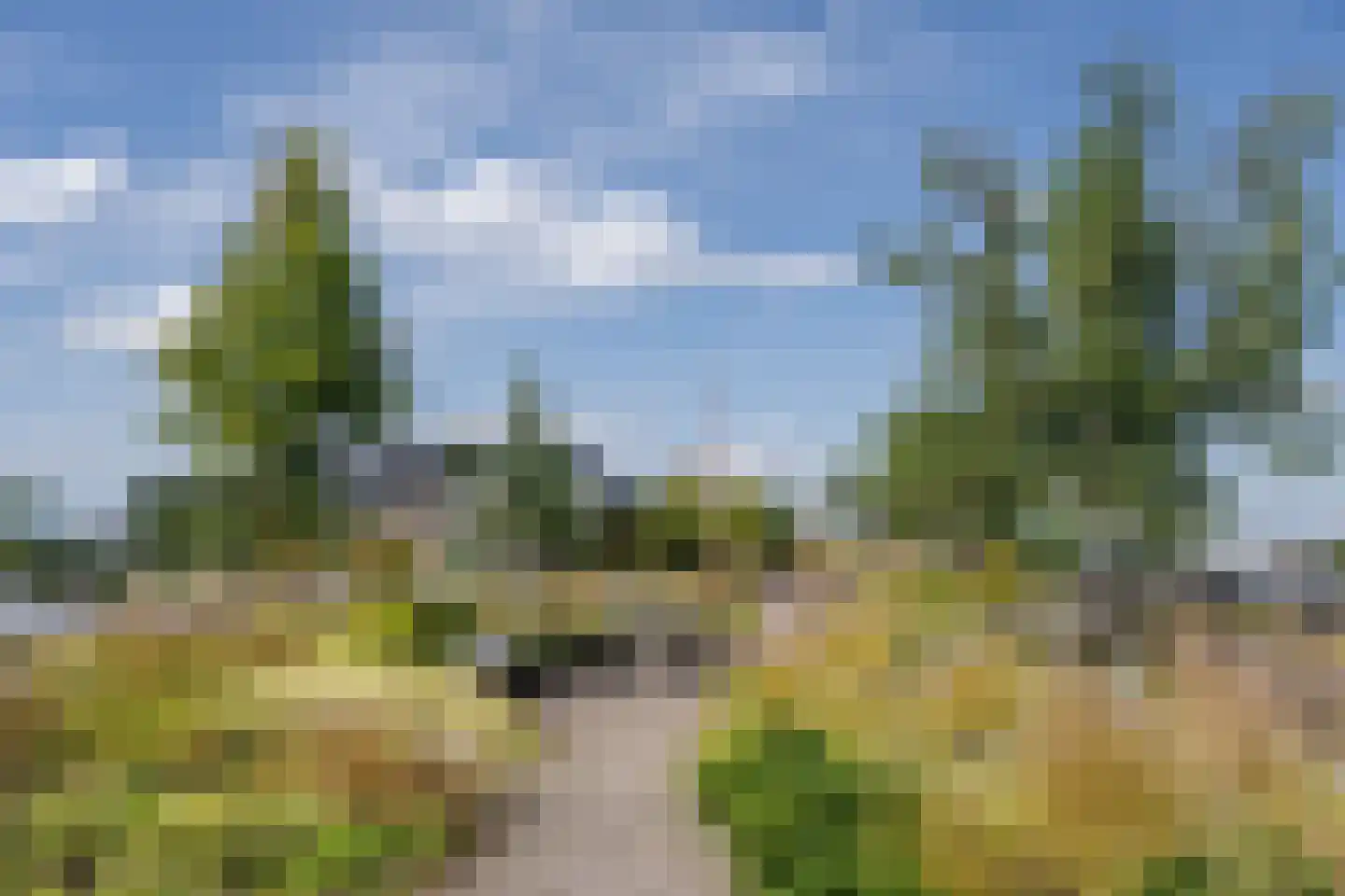 Sint Maartenpad 15 Haarlem thumbnail 4