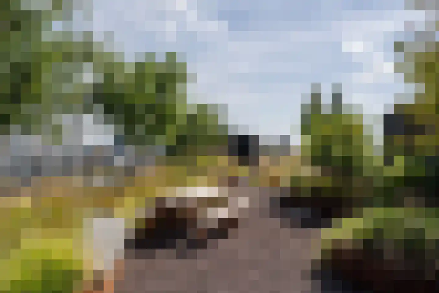 Sint Maartenpad 15 Haarlem thumbnail 42