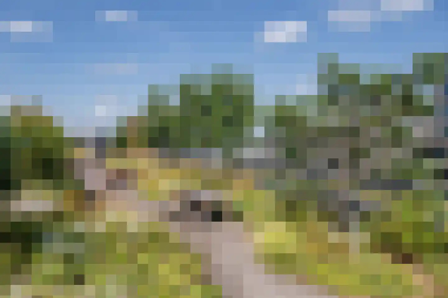 Sint Maartenpad 15 Haarlem thumbnail 43