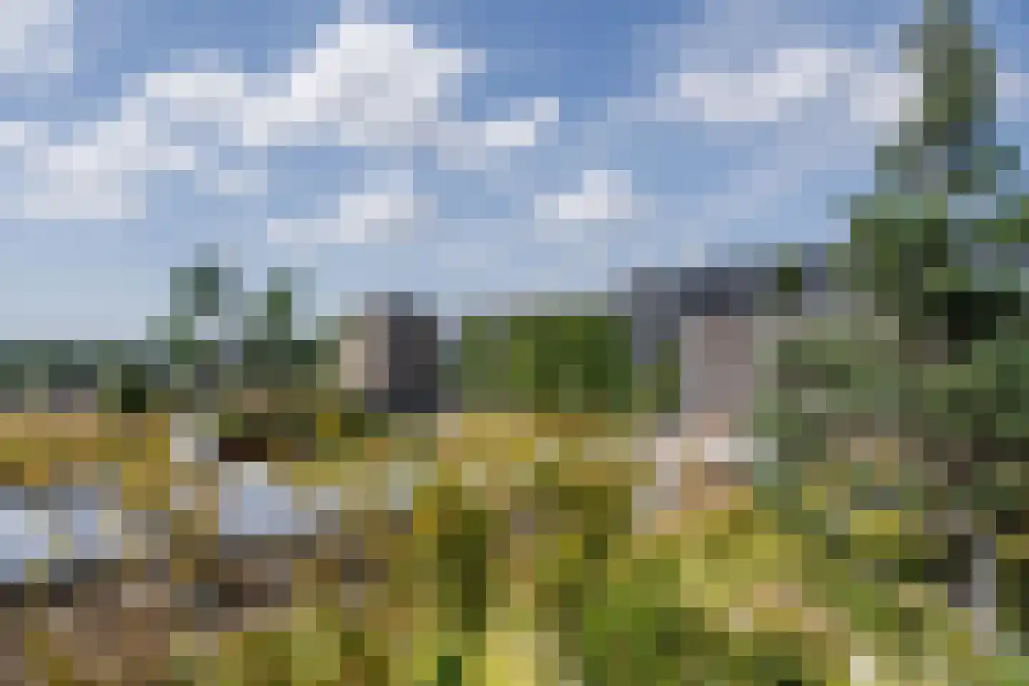 Sint Maartenpad 15 Haarlem thumbnail 44