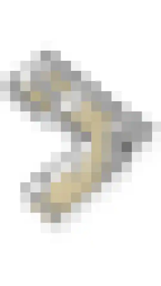 Sint Maartenpad 15 Haarlem thumbnail 47