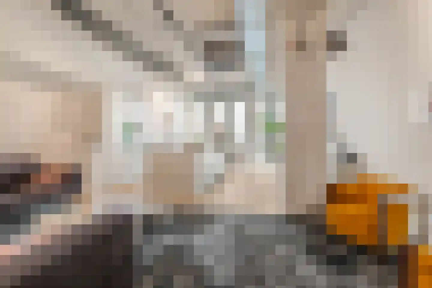 Sint Maartenpad 19 Haarlem thumbnail 17
