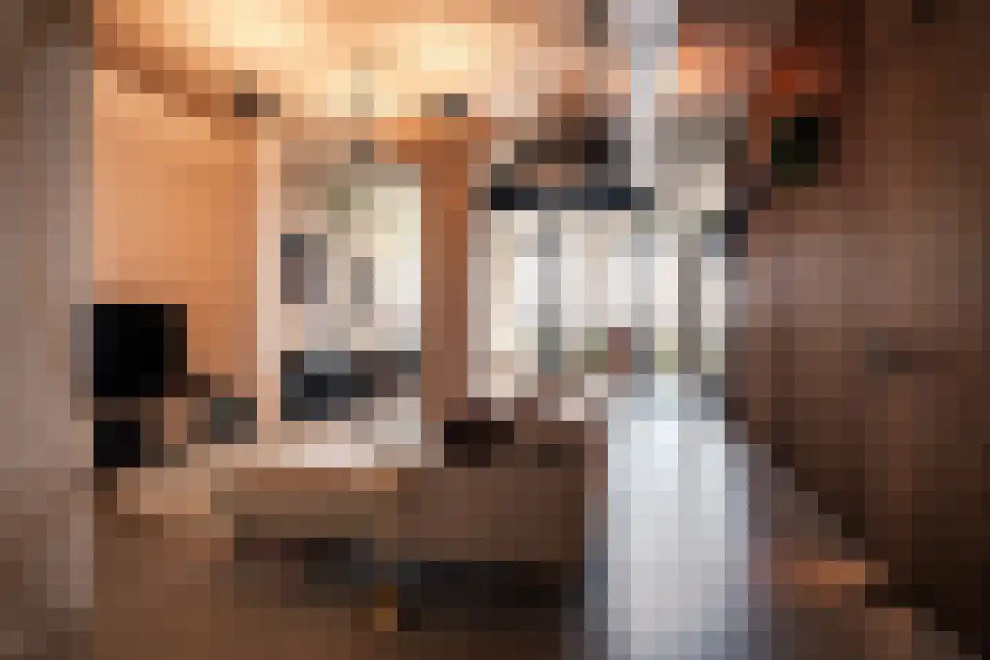 Sint Maartenpad 45 Haarlem thumbnail 18