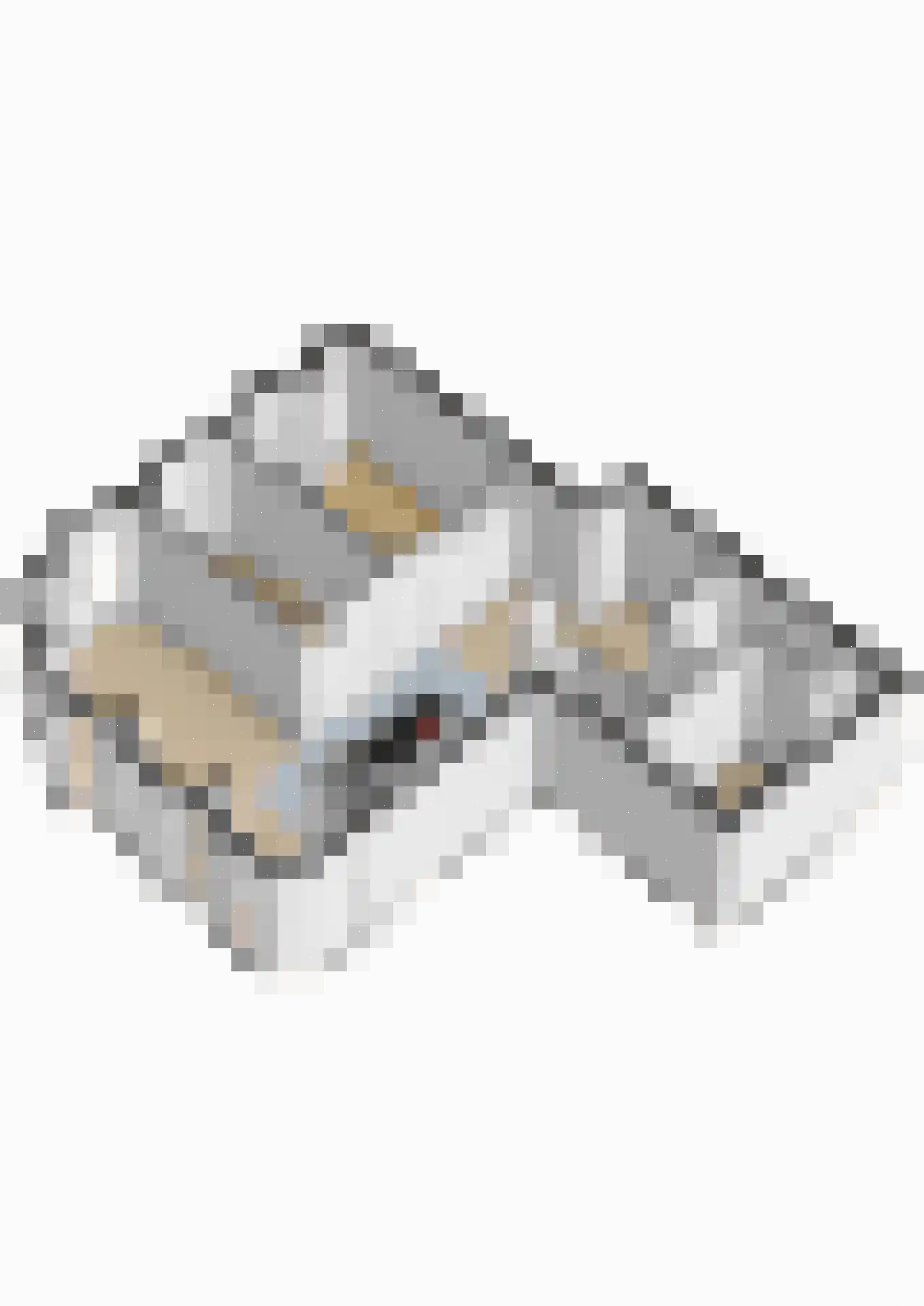 Sint Maartenpad 5 Haarlem thumbnail 35