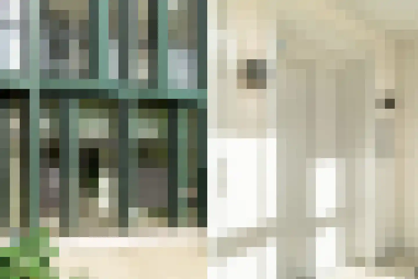 Sint Maartenpad 5 Haarlem thumbnail 6